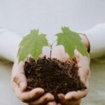 Pastor explica a importância da primícia para Deus e diz: "É teste de fé"