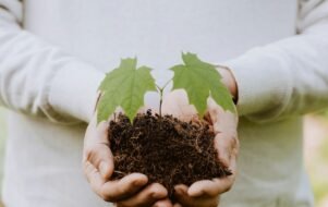 Pastor explica a importância da primícia para Deus e diz: "É teste de fé"